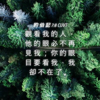 Picture 04 - 約 伯 記 7:8 CUVT - 觀 看 我 的 人 ， 他 的 眼 必 不 再 - Bible Verse Picture