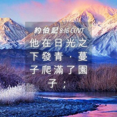 Picture 04 - 約 伯 記 8:16 CUVT - 他 在 日 光 之 下 發 青 ， 蔓 子 爬 - Bible Verse Picture
