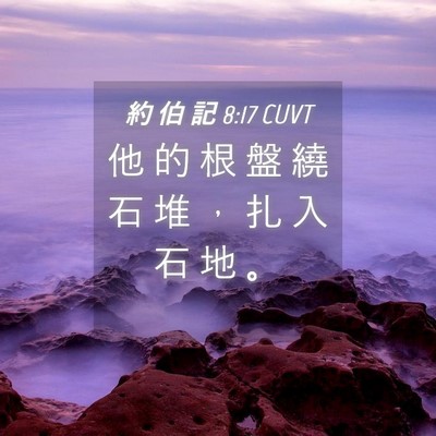 Picture 04 - 約 伯 記 8:17 CUVT - 他 的 根 盤 繞 石 堆 ， 扎 入 石 地 - Bible Verse Picture