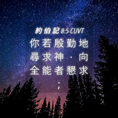 Picture 04 - 約 伯 記 8:5 CUVT - 你 若 殷 勤 地 尋 求 神 ， 向 全 能 - Bible Verse Picture
