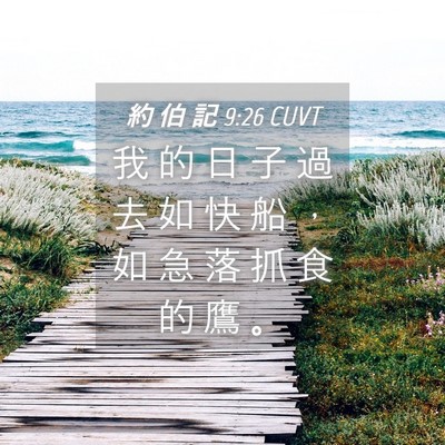 Picture 04 - 約 伯 記 9:26 CUVT - 我 的 日 子 過 去 如 快 船 ， 如 急 - Bible Verse Picture