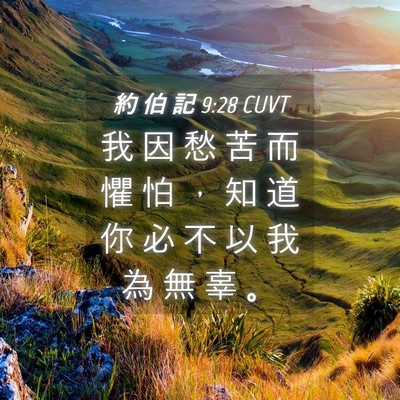 Picture 04 - 約 伯 記 9:28 CUVT - 我 因 愁 苦 而 懼 怕 ， 知 道 你 必 - Bible Verse Picture