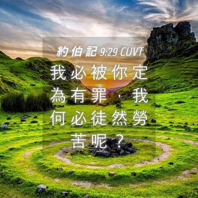 Picture 04 - 約 伯 記 9:29 CUVT - 我 必 被 你 定 為 有 罪 ， 我 何 必 - Bible Verse Picture