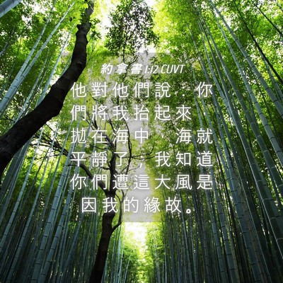 Picture 04 - 約 拿 書 1:12 CUVT - 他 對 他 們 說 ： 你 們 將 我 抬 起 - Bible Verse Picture