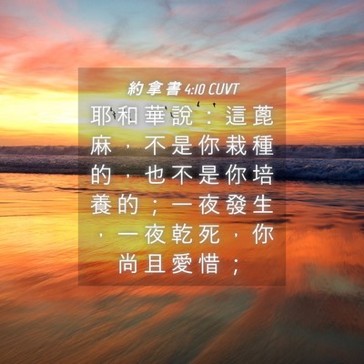 Picture 04 - 約 拿 書 4:10 CUVT - 耶 和 華 說 ： 這 蓖 麻 ， 不 是 你 - Bible Verse Picture