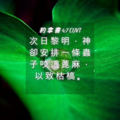 Picture 04 - 約 拿 書 4:7 CUVT - 次 日 黎 明 ， 神 卻 安 排 一 條 蟲 - Bible Verse Picture