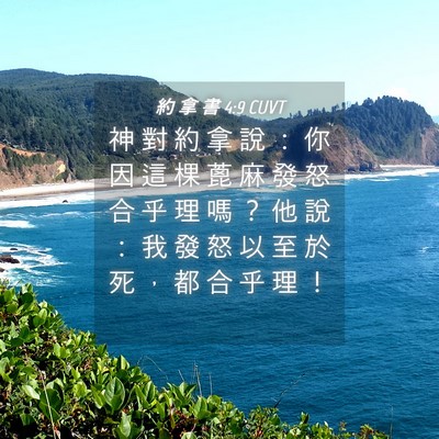 Picture 04 - 約 拿 書 4:9 CUVT - 神 對 約 拿 說 ： 你 因 這 棵 蓖 麻 - Bible Verse Picture