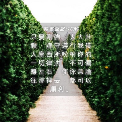 Picture 04 - 約 書 亞 記 1:7 CUVT - 只 要 剛 強 ， 大 大 壯 膽 ， 謹 守 - Bible Verse Picture