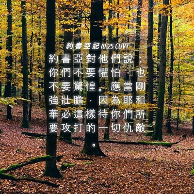 Picture 04 - 約 書 亞 記 10:25 CUVT - 約 書 亞 對 他 們 說 ： 你 們 不 要 - Bible Verse Picture