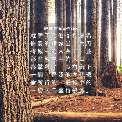 Picture 04 - 約 書 亞 記 10:37 CUVT - 就 奪 了 希 伯 崙 和 屬 希 伯 崙 的 - Bible Verse Picture