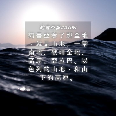 Picture 04 - 約 書 亞 記 11:16 CUVT - 約 書 亞 奪 了 那 全 地 ， 就 是 山 - Bible Verse Picture