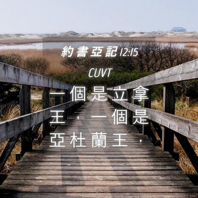Picture 04 - 約 書 亞 記 12:15 CUVT - 一 個 是 立 拿 王 ， 一 個 是 亞 杜 - Bible Verse Picture