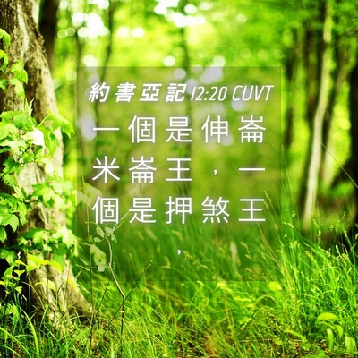 Picture 04 - 約 書 亞 記 12:20 CUVT - 一 個 是 伸 崙 米 崙 王 ， 一 個 是 - Bible Verse Picture