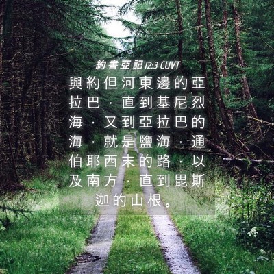 Picture 04 - 約 書 亞 記 12:3 CUVT - 與 約 但 河 東 邊 的 亞 拉 巴 ， 直 - Bible Verse Picture