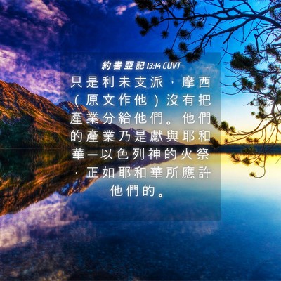 Picture 04 - 約 書 亞 記 13:14 CUVT - 只 是 利 未 支 派 ， 摩 西 （ 原 文 - Bible Verse Picture