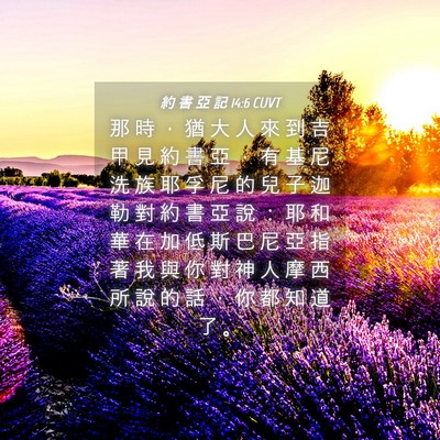 Picture 04 - 約 書 亞 記 14:6 CUVT - 那 時 ， 猶 大 人 來 到 吉 甲 見 約 - Bible Verse Picture