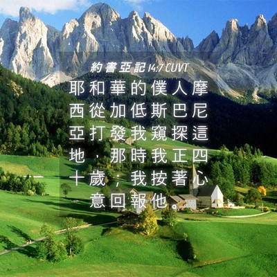 Picture 04 - 約 書 亞 記 14:7 CUVT - 耶 和 華 的 僕 人 摩 西 從 加 低 斯 - Bible Verse Picture
