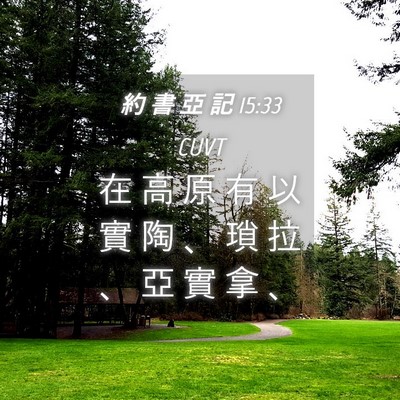 Picture 04 - 約 書 亞 記 15:33 CUVT - 在 高 原 有 以 實 陶 、 瑣 拉 、 亞 - Bible Verse Picture