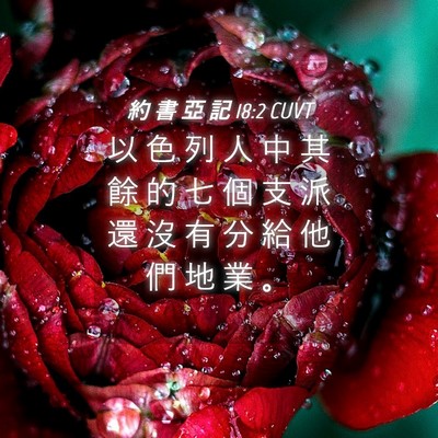 Picture 04 - 約 書 亞 記 18:2 CUVT - 以 色 列 人 中 其 餘 的 七 個 支 派 - Bible Verse Picture