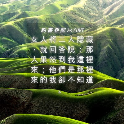 Picture 04 - 約 書 亞 記 2:4 CUVT - 女 人 將 二 人 隱 藏 ， 就 回 答 說 - Bible Verse Picture