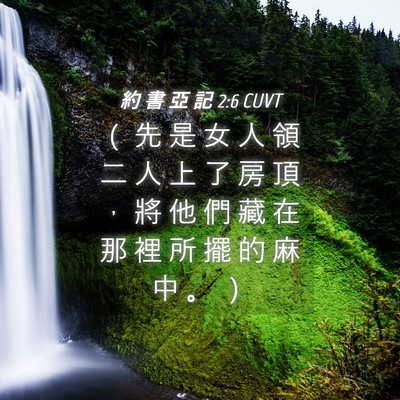 Picture 04 - 約 書 亞 記 2:6 CUVT - （ 先 是 女 人 領 二 人 上 了 房 頂 - Bible Verse Picture