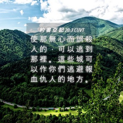 Picture 04 - 約 書 亞 記 20:3 CUVT - 使 那 無 心 而 誤 殺 人 的 ， 可 以 - Bible Verse Picture