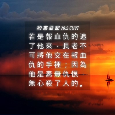 Picture 04 - 約 書 亞 記 20:5 CUVT - 若 是 報 血 仇 的 追 了 他 來 ， 長 - Bible Verse Picture