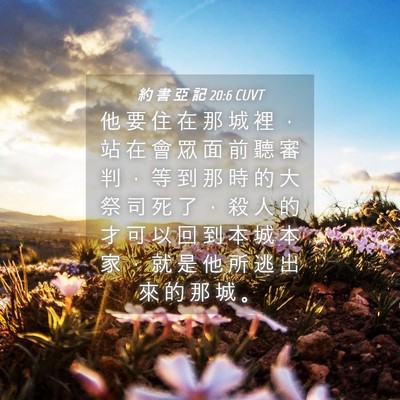 Picture 04 - 約 書 亞 記 20:6 CUVT - 他 要 住 在 那 城 裡 ， 站 在 會 眾 - Bible Verse Picture