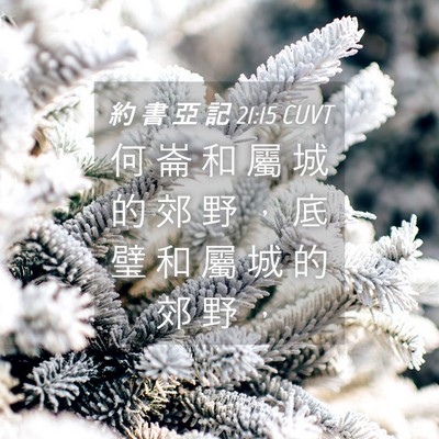 Picture 04 - 約 書 亞 記 21:15 CUVT - 何 崙 和 屬 城 的 郊 野 ， 底 璧 和 - Bible Verse Picture