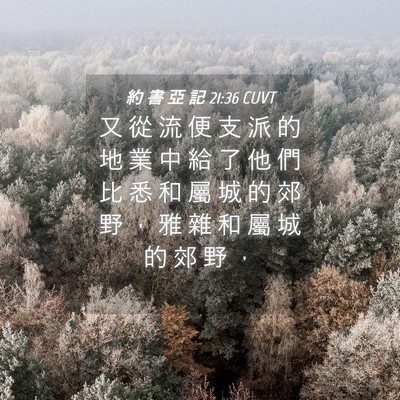 Picture 04 - 約 書 亞 記 21:36 CUVT - 又 從 流 便 支 派 的 地 業 中 給 了 - Bible Verse Picture