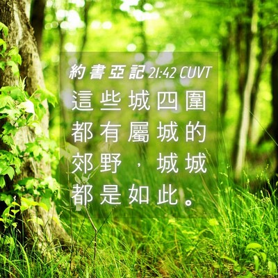 Picture 04 - 約 書 亞 記 21:42 CUVT - 這 些 城 四 圍 都 有 屬 城 的 郊 野 - Bible Verse Picture
