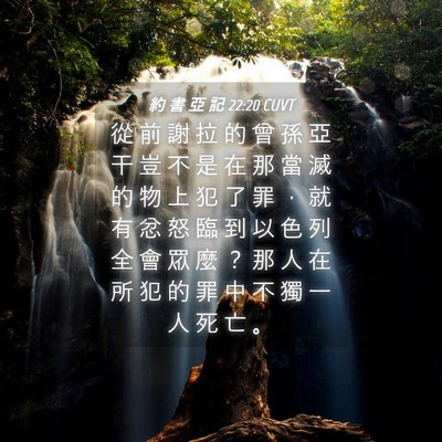 Picture 04 - 約 書 亞 記 22:20 CUVT - 從 前 謝 拉 的 曾 孫 亞 干 豈 不 是 - Bible Verse Picture