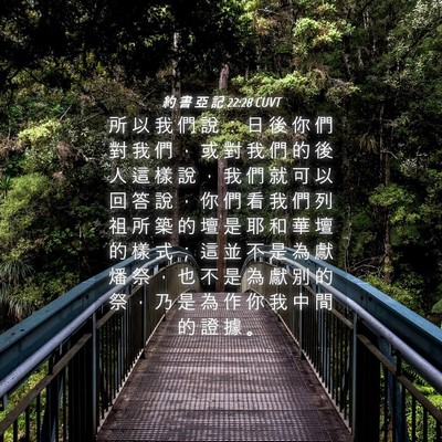 Picture 04 - 約 書 亞 記 22:28 CUVT - 所 以 我 們 說 ： 日 後 你 們 對 我 - Bible Verse Picture