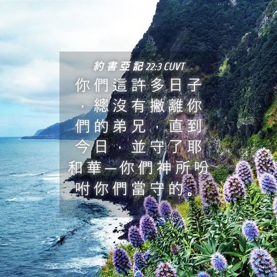 Picture 04 - 約 書 亞 記 22:3 CUVT - 你 們 這 許 多 日 子 ， 總 沒 有 撇 - Bible Verse Picture