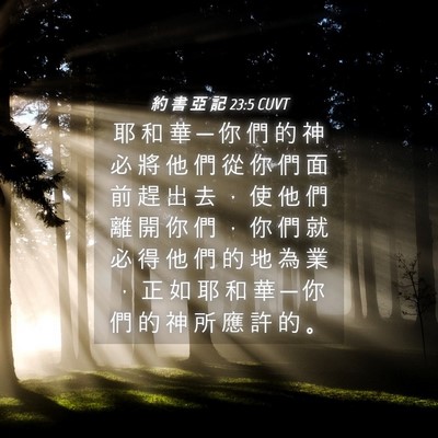 Picture 04 - 約 書 亞 記 23:5 CUVT - 耶 和 華 ─ 你 們 的 神 必 將 他 們 - Bible Verse Picture