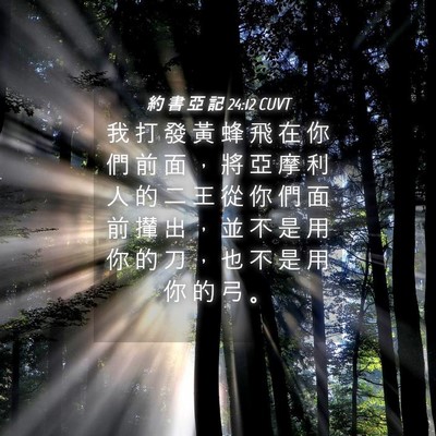 Picture 04 - 約 書 亞 記 24:12 CUVT - 我 打 發 黃 蜂 飛 在 你 們 前 面 ， - Bible Verse Picture