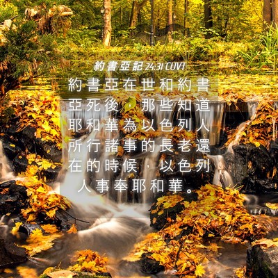 Picture 04 - 約 書 亞 記 24:31 CUVT - 約 書 亞 在 世 和 約 書 亞 死 後 ， - Bible Verse Picture