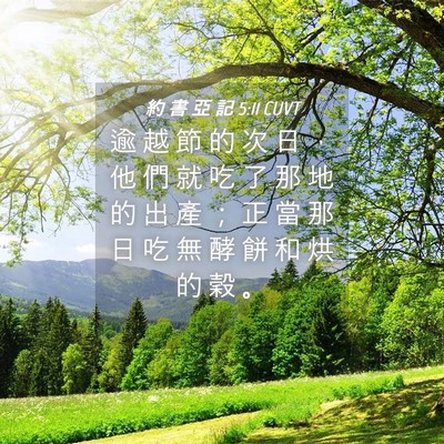 Picture 04 - 約 書 亞 記 5:11 CUVT - 逾 越 節 的 次 日 ， 他 們 就 吃 了 - Bible Verse Picture