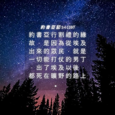 Picture 04 - 約 書 亞 記 5:4 CUVT - 約 書 亞 行 割 禮 的 緣 故 ， 是 因 - Bible Verse Picture