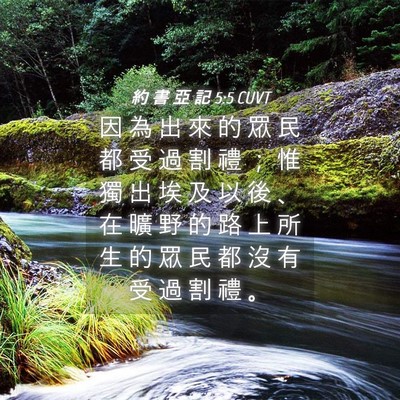Picture 04 - 約 書 亞 記 5:5 CUVT - 因 為 出 來 的 眾 民 都 受 過 割 禮 - Bible Verse Picture