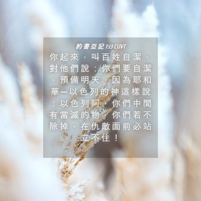 Picture 04 - 約 書 亞 記 7:13 CUVT - 你 起 來 ， 叫 百 姓 自 潔 ， 對 他 - Bible Verse Picture