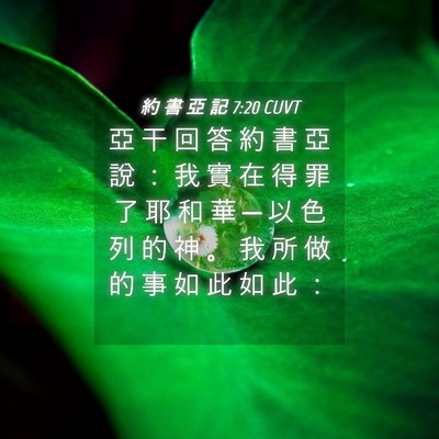 Picture 04 - 約 書 亞 記 7:20 CUVT - 亞 干 回 答 約 書 亞 說 ： 我 實 在 - Bible Verse Picture