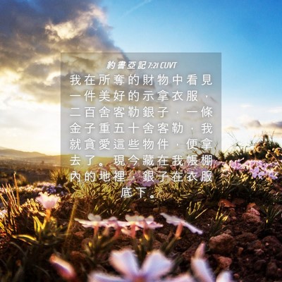 Picture 04 - 約 書 亞 記 7:21 CUVT - 我 在 所 奪 的 財 物 中 看 見 一 件 - Bible Verse Picture