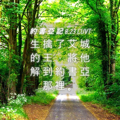 Picture 04 - 約 書 亞 記 8:23 CUVT - 生 擒 了 艾 城 的 王 ， 將 他 解 到 - Bible Verse Picture