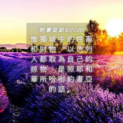 Picture 04 - 約 書 亞 記 8:27 CUVT - 惟 獨 城 中 的 牲 畜 和 財 物 ， 以 - Bible Verse Picture