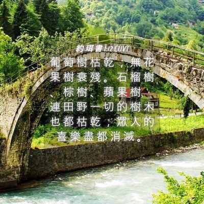 Picture 04 - 約 珥 書 1:12 CUVT - 葡 萄 樹 枯 乾 ； 無 花 果 樹 衰 殘 - Bible Verse Picture