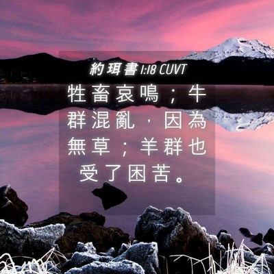 Picture 04 - 約 珥 書 1:18 CUVT - 牲 畜 哀 鳴 ； 牛 群 混 亂 ， 因 為 - Bible Verse Picture