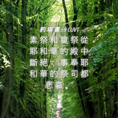 Picture 04 - 約 珥 書 1:9 CUVT - 素 祭 和 奠 祭 從 耶 和 華 的 殿 中 - Bible Verse Picture