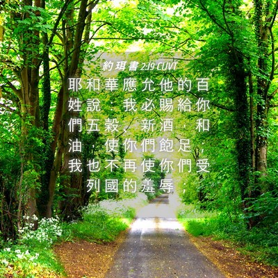 Picture 04 - 約 珥 書 2:19 CUVT - 耶 和 華 應 允 他 的 百 姓 說 ： 我 - Bible Verse Picture