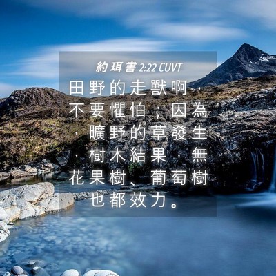 Picture 04 - 約 珥 書 2:22 CUVT - 田 野 的 走 獸 啊 ， 不 要 懼 怕 ； - Bible Verse Picture